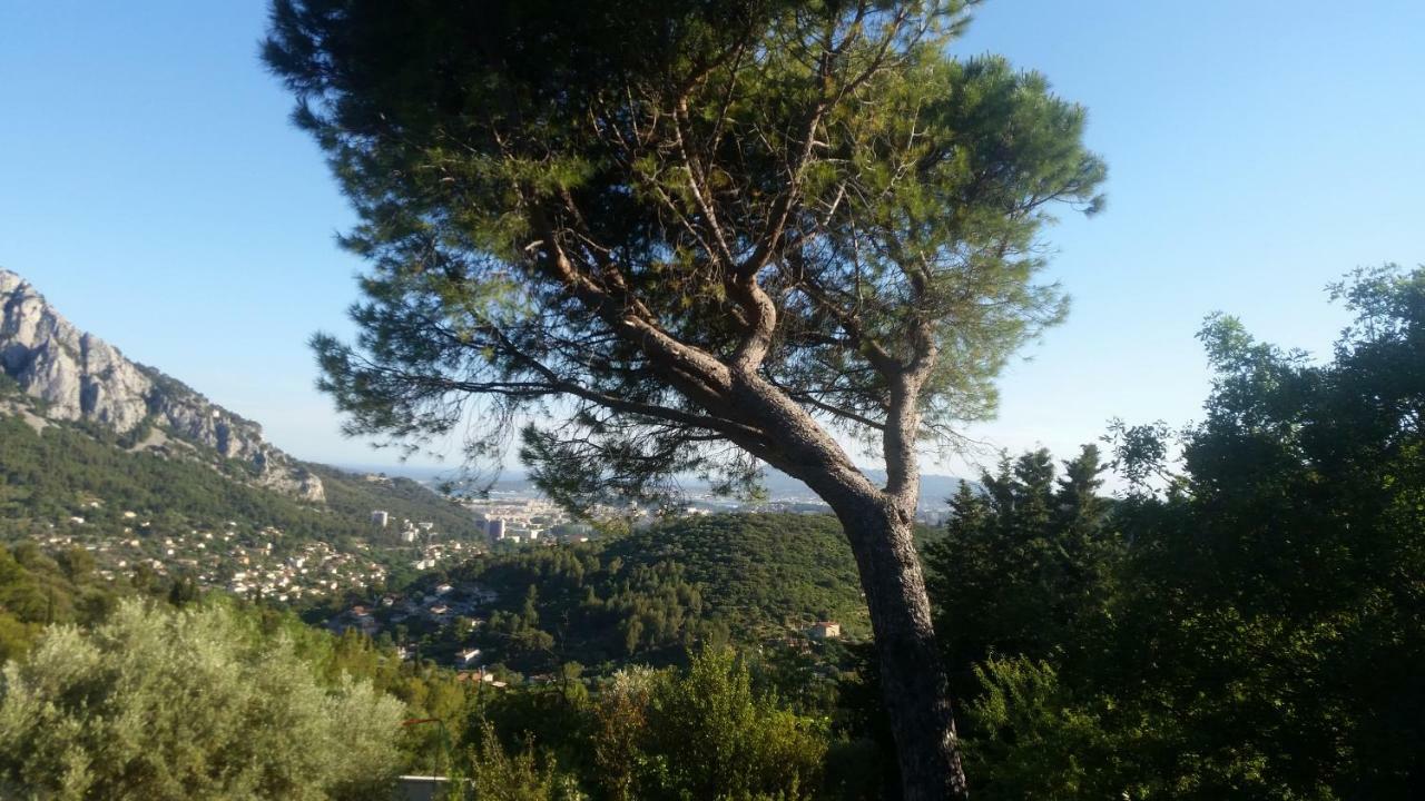 Appartamento Bienvenue Le Revest-le-Eaux Esterno foto